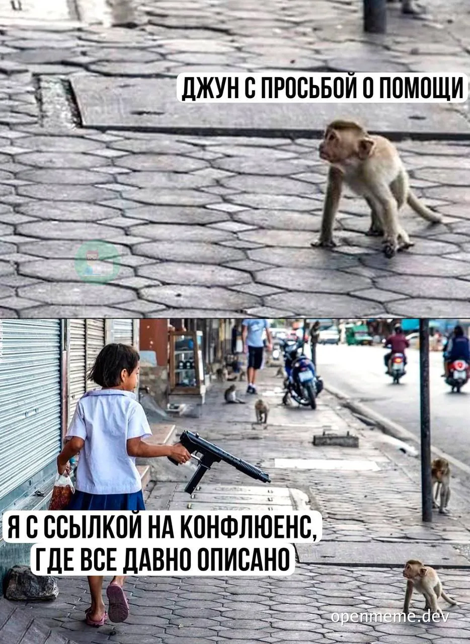 junior developer asking for help meme
