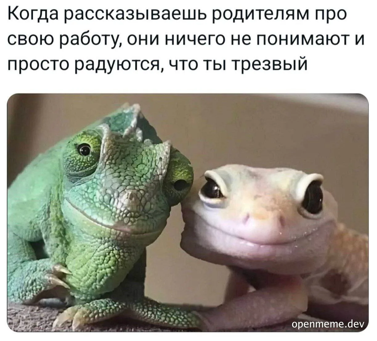 Two reptiles, a green gecko and a white gecko, looking at each other