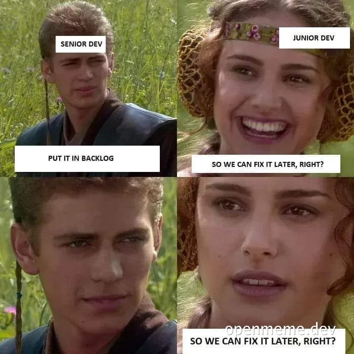 Star Wars meme of Anakin and Padme with senior and junior developer labels