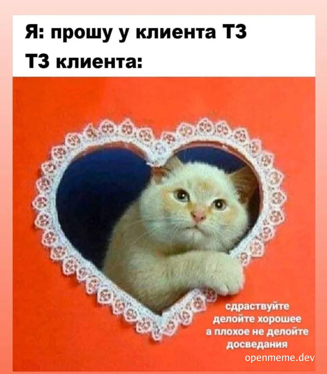 cat in heart-shaped frame with russian text