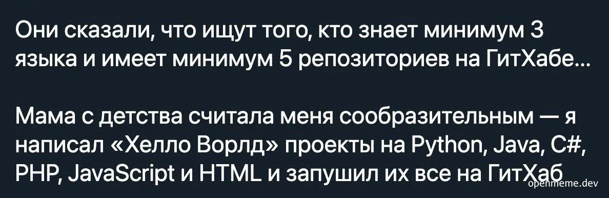 russian developer humor image
