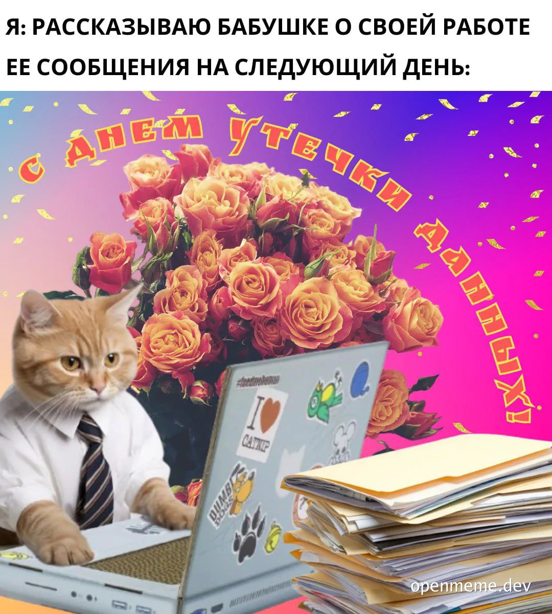 cat at laptop with roses and papers
