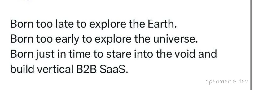 text-based meme about SaaS development