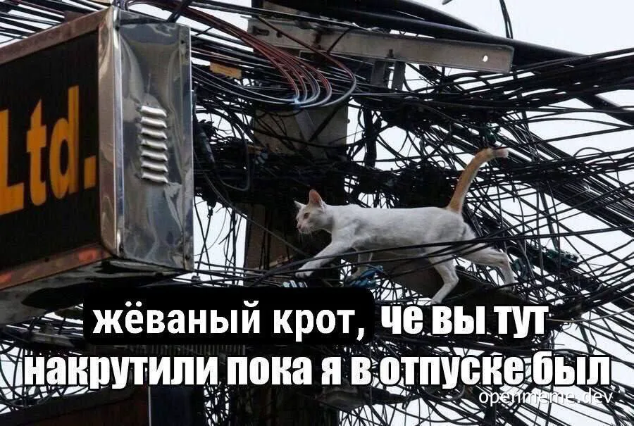 cat on a mess of wires with text overlay