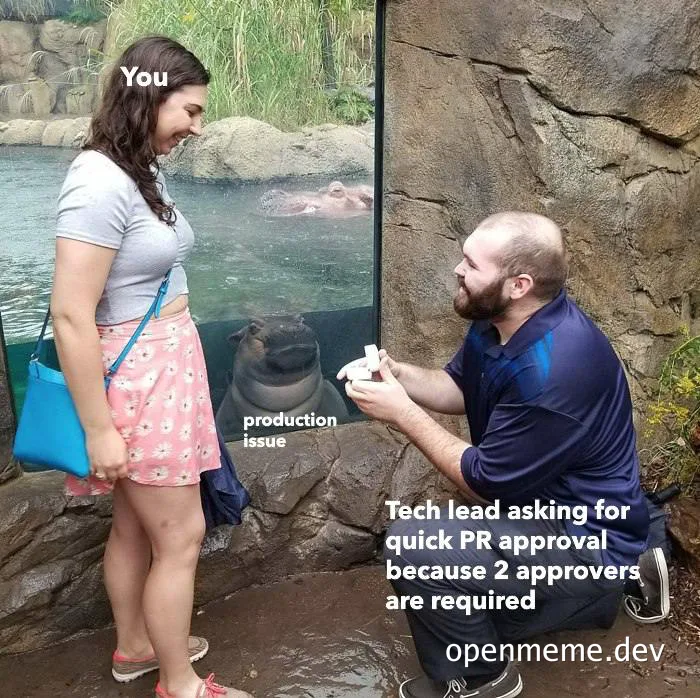 man proposing with a ring to a woman at a zoo while a hippo looks on with text about tech lead asking for quick PR approval