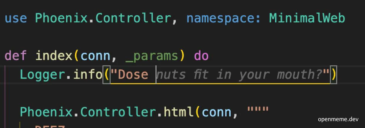 Code snippet with humorous logging statement