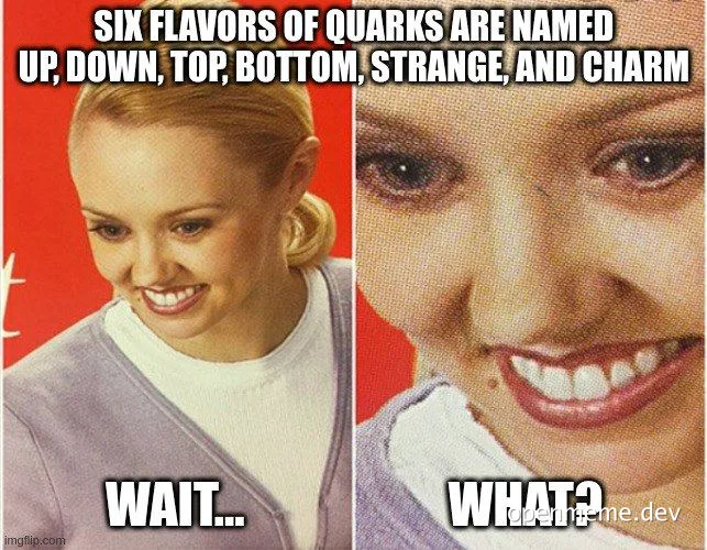 Two-panel meme of a woman reacting to quark flavors