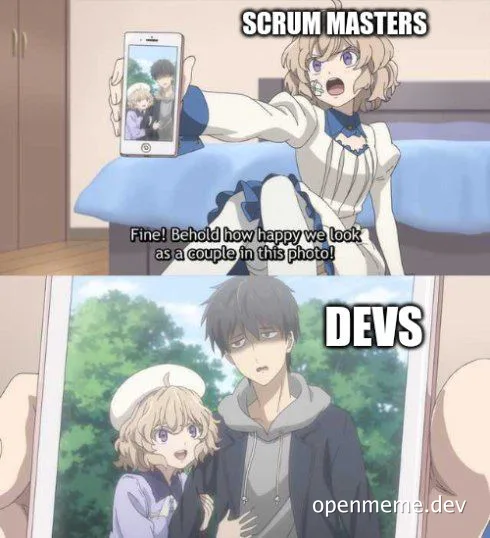 Scrum masters vs devs meme