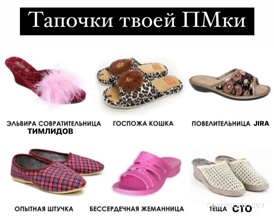 russian developer humor image with various slippers labeled with project management and team lead roles