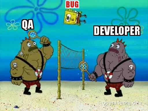 Cartoon characters playing beach volleyball with labels QA and DEVELOPER trying to hit a BUG