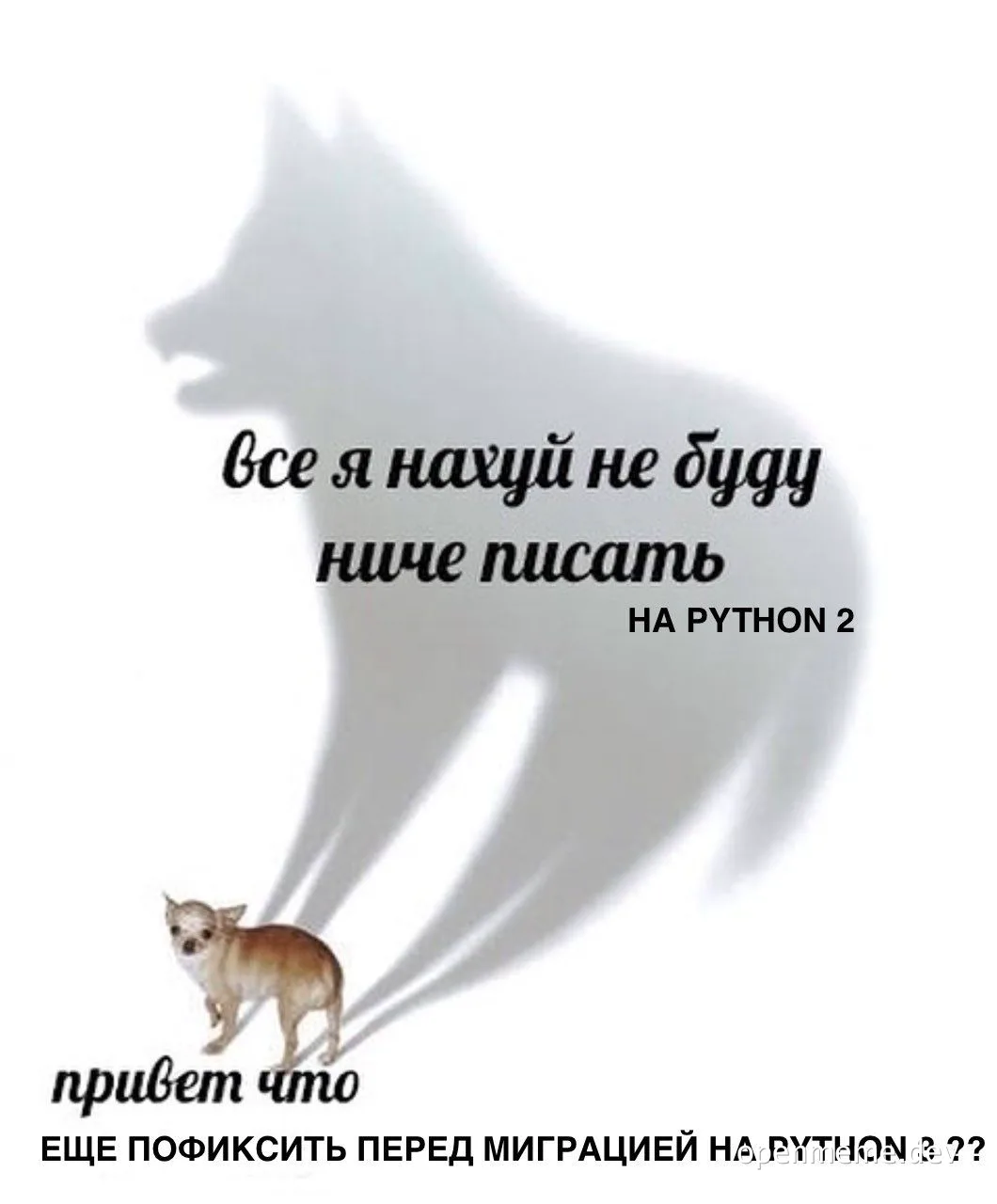 dog and wolf silhouette meme about python 2 to python 3 migration