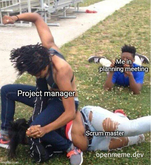 humorous image of people in a grassy area with text about project management roles