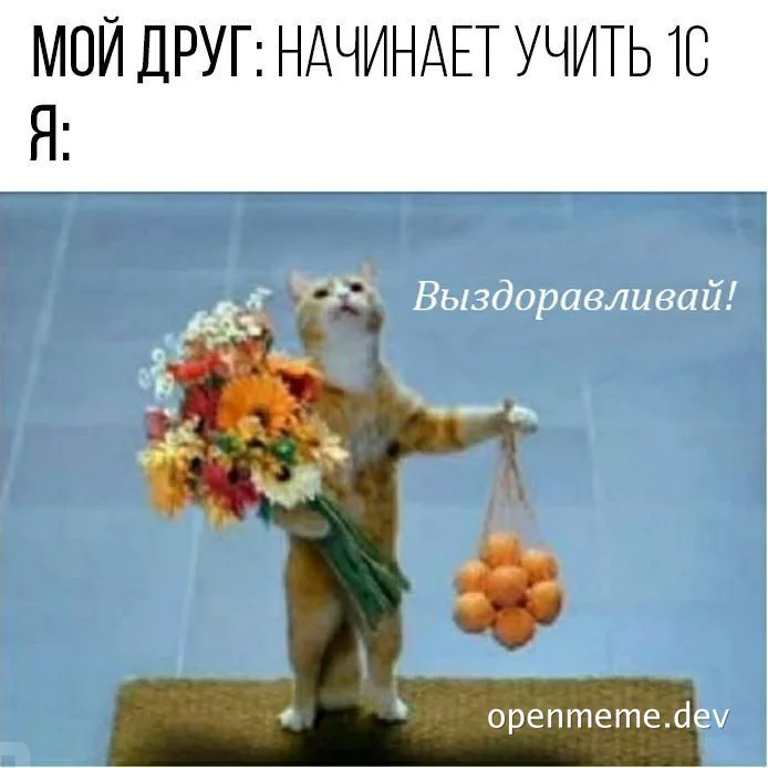 cat figurine holding flowers and oranges with russian text