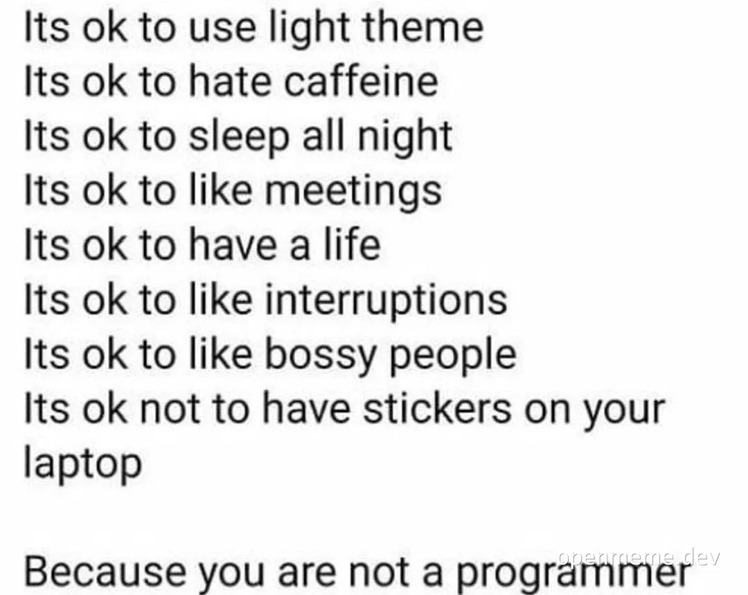 humorous list of things okay for non-programmers