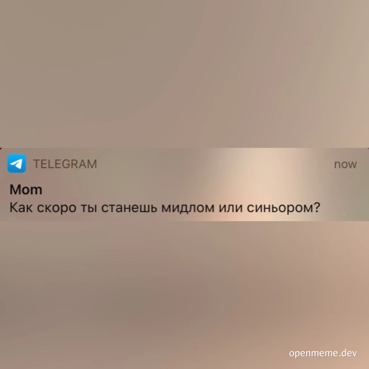 Telegram conversation with mom asking when you'll become a middle or senior dev