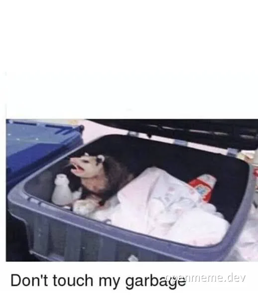 angry opossum in trash can with caption 'Don't touch my garbage'