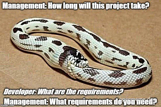 A meme featuring a snake with text: Management asks how long the project will take, Developer asks for requirements, Management asks what requirements are needed.