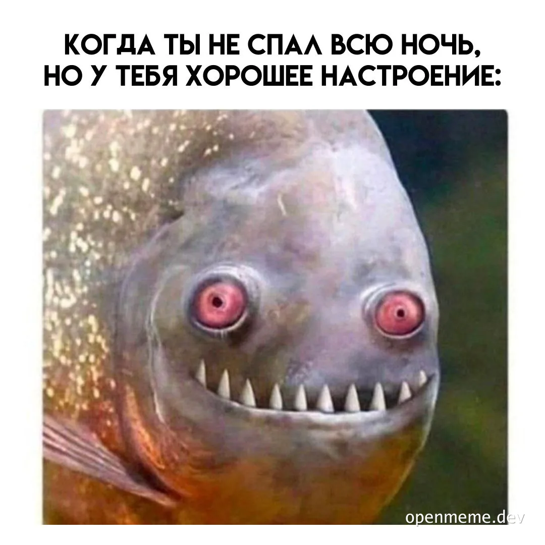 funny fish meme with sharp teeth and red eyes