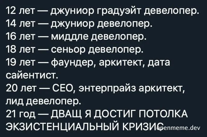 russian developer career path meme