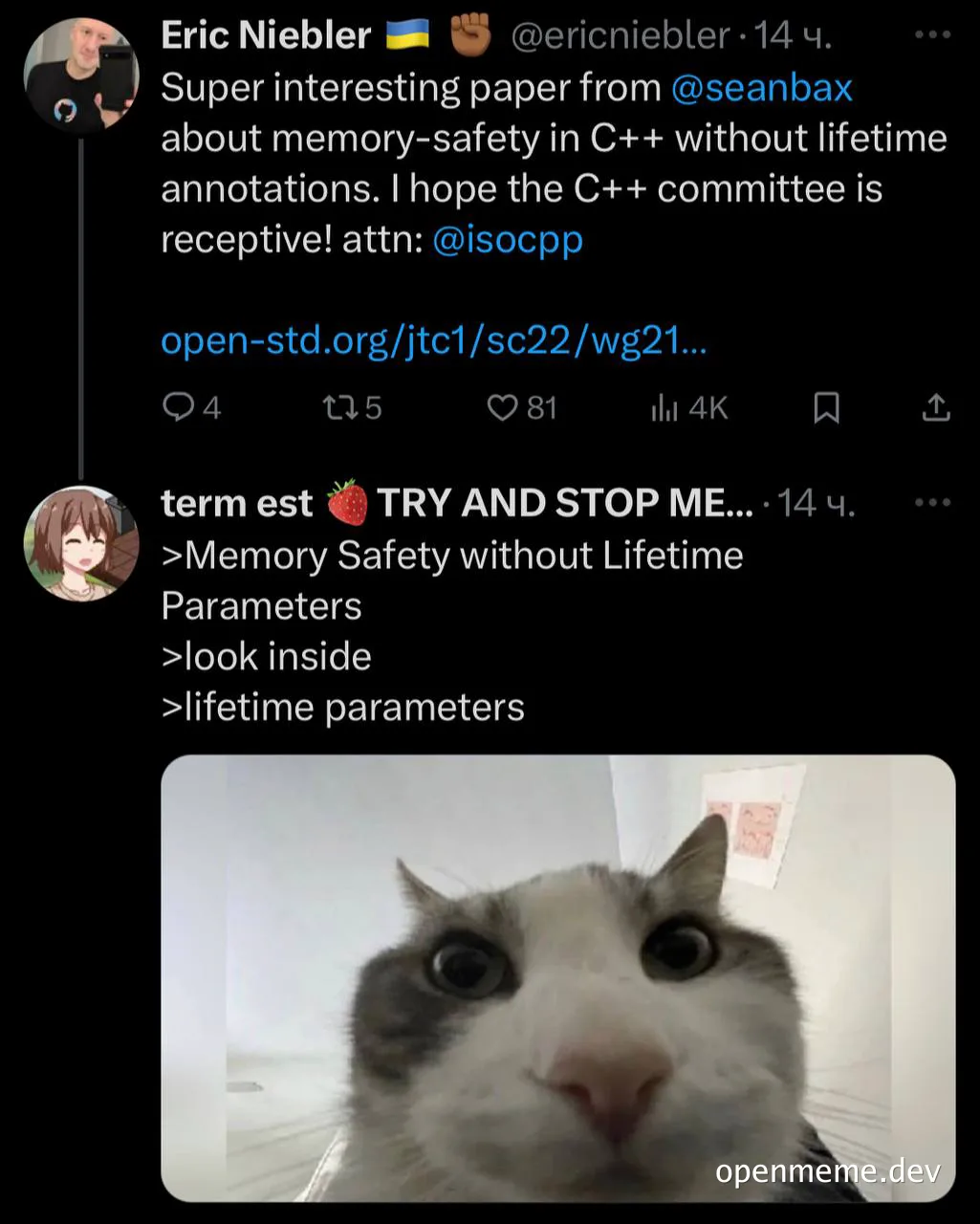 cat with wide eyes and text about memory safety in C++