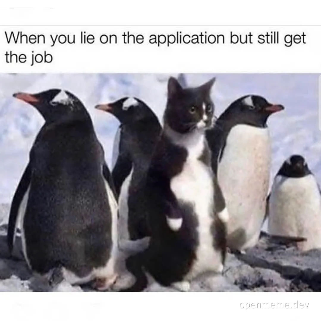 funny penguins and cat meme about lying on a job application