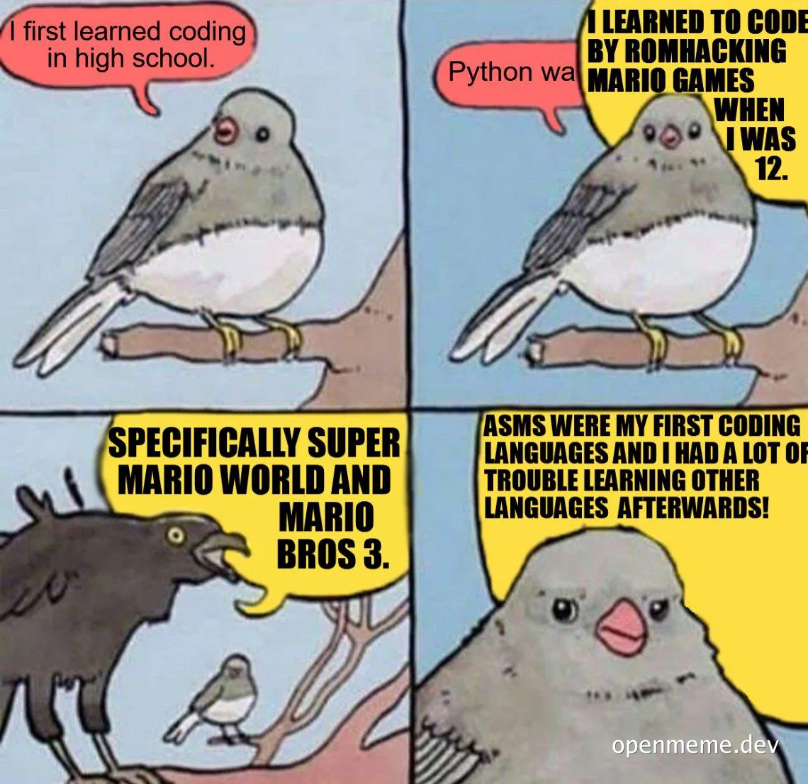 bird learning to code with super mario world