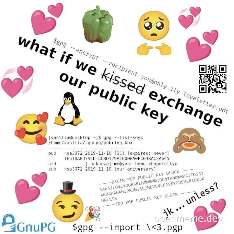 a meme about encrypting public keys with heart emojis