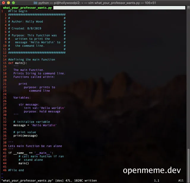 a programmer's screen with a vim editor open on a python script with a humorous comment