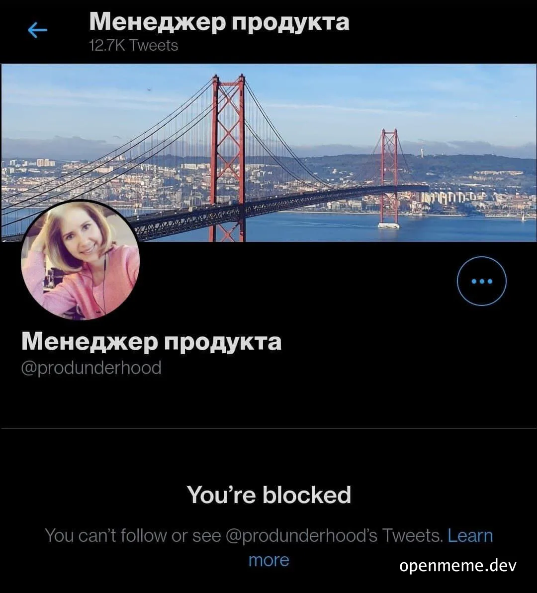 Twitter blocked account meme with bridge background