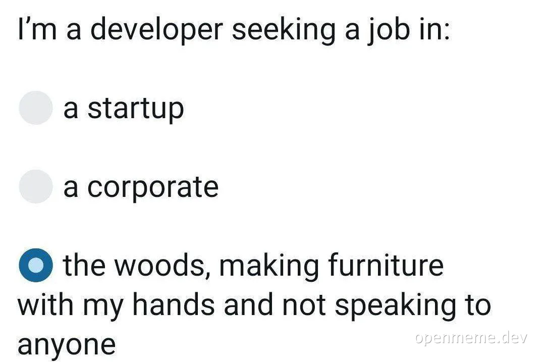 humorous developer job preference meme