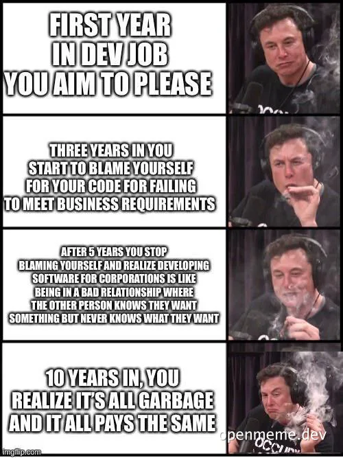 Elon Musk meme about developer job experience