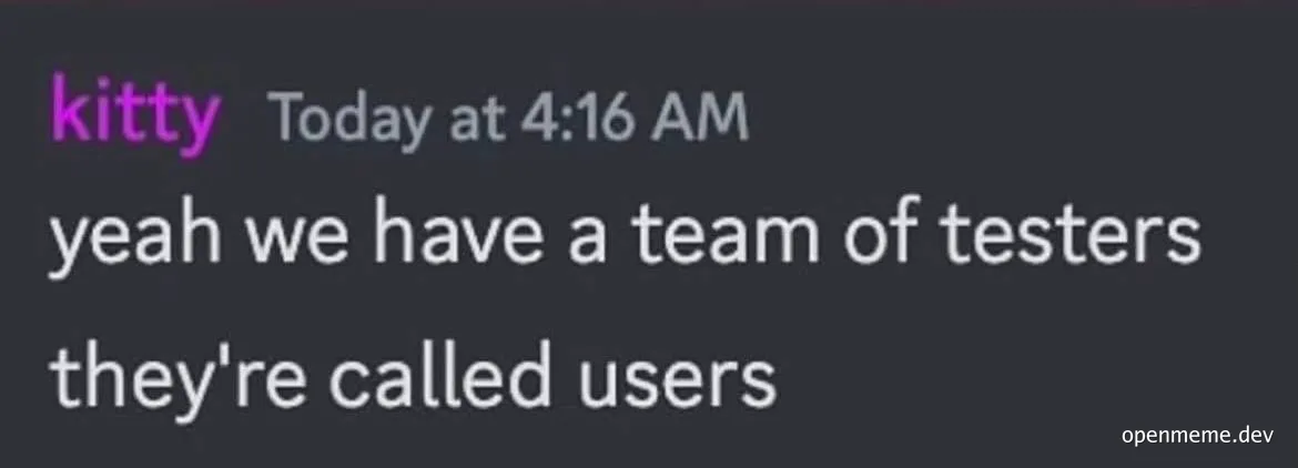 meme about software testing by users