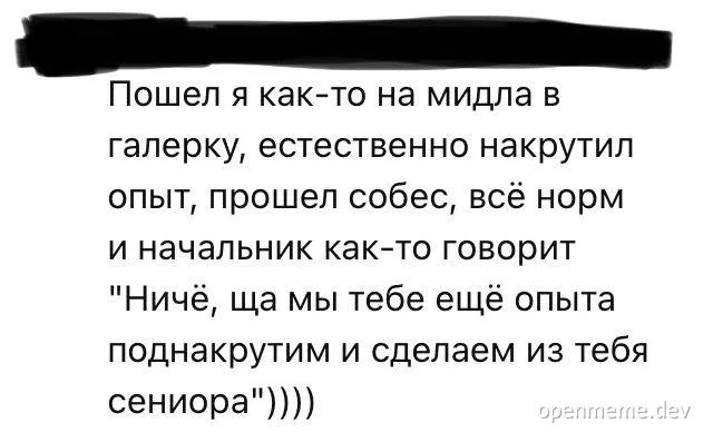 russian text meme about mid-level developer