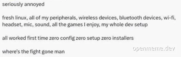 Annoyed developer with seamless Linux setup