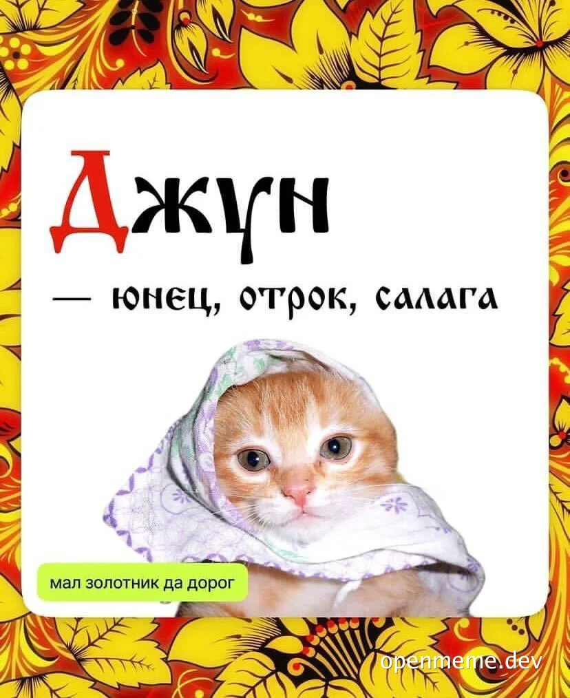 kitten in a headscarf with russian text
