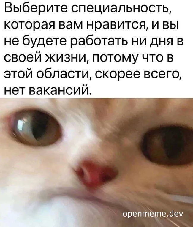cat with surprised expression and russian text about choosing a profession