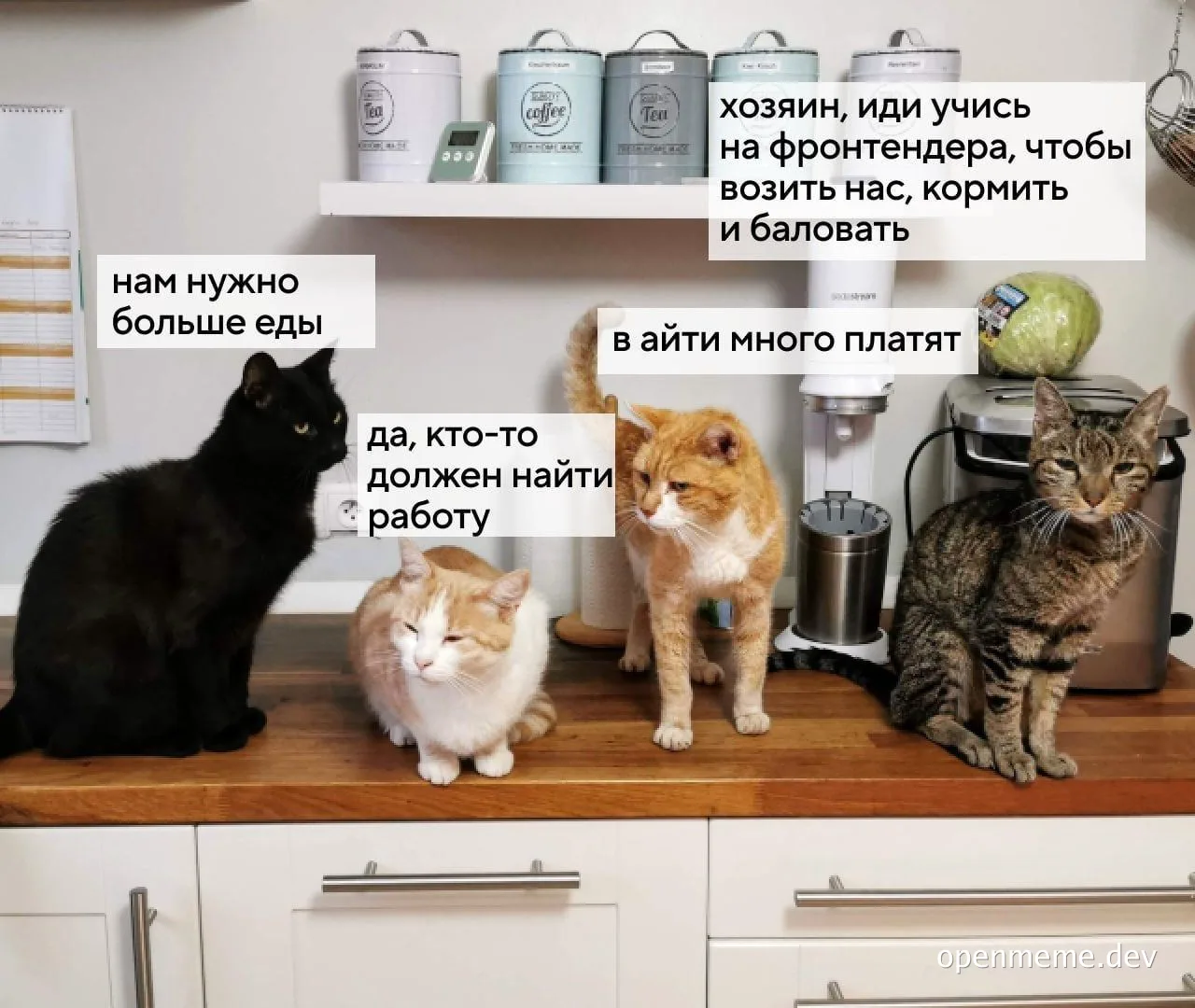 Four cats on a kitchen counter with text overlay in Russian