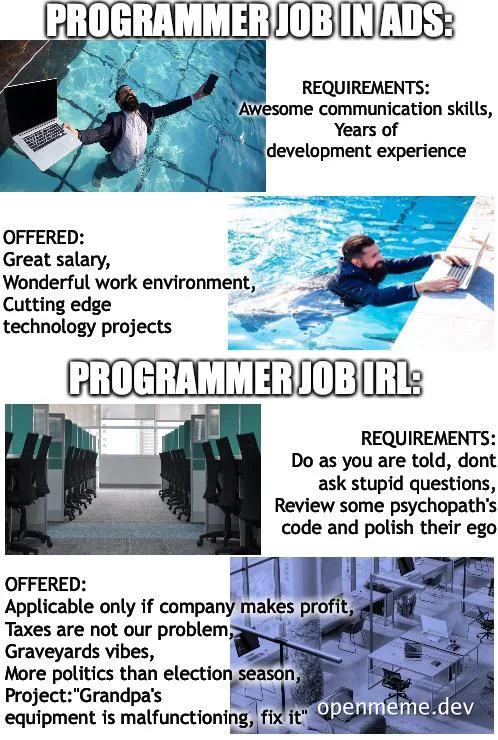 programmer job ads vs reality