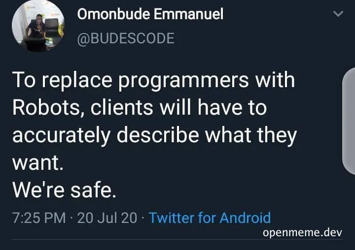 programmers safe from robot replacement