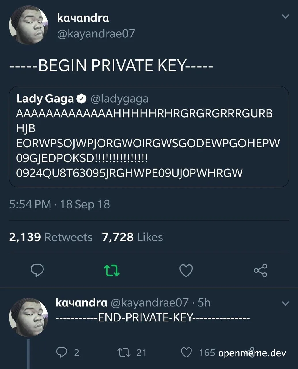 Private key meme with Lady Gaga tweet