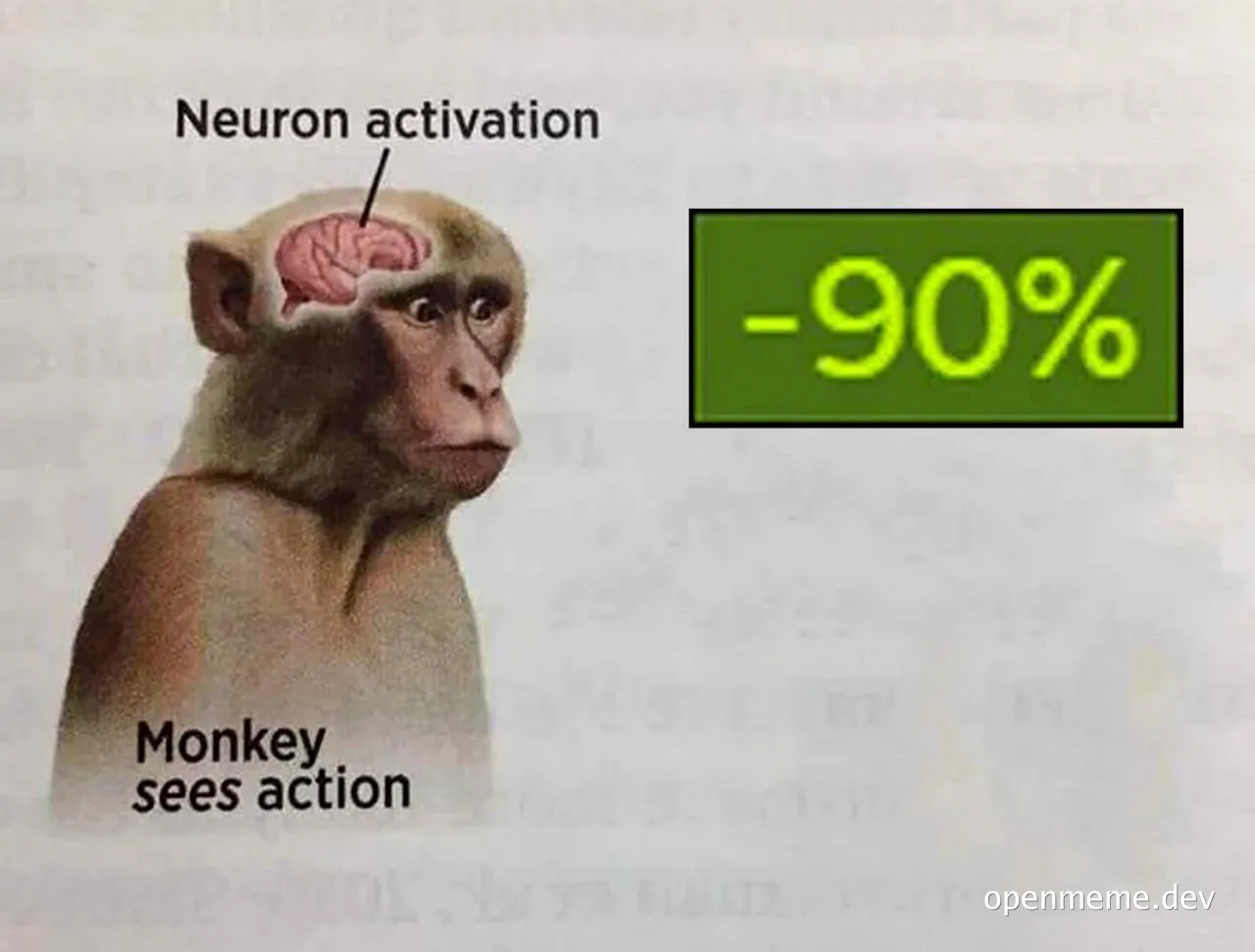 monkey sees action neuron activation -90%