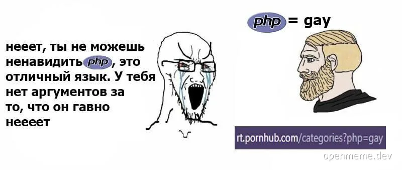 php developer meme