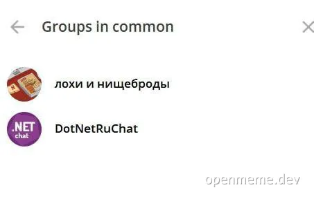 Groups in common chat screenshot