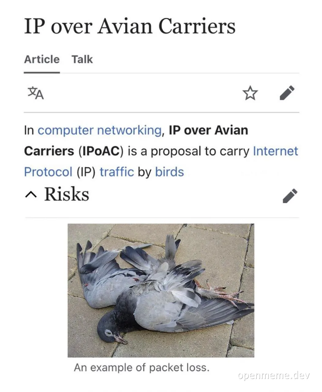 Screenshot of an IP over Avian Carriers article showing dead pigeons labeled as an example of packet loss