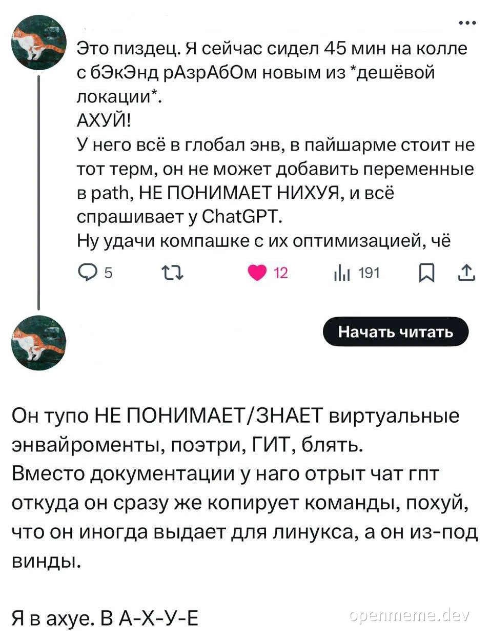 russian developer frustrated with colleague