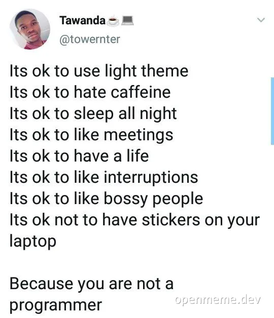 humorous text about programmer stereotypes