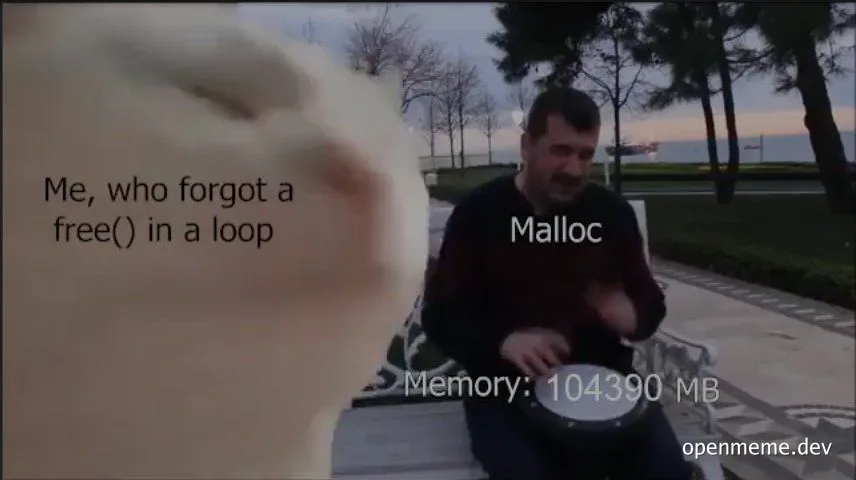 programmer memory leak meme