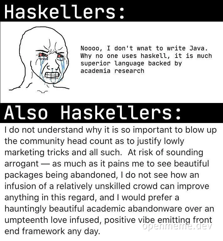 Haskellers meme with crying face