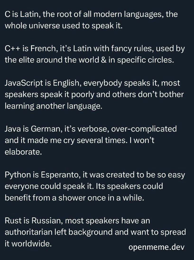 programmer humor comparing programming languages to world languages