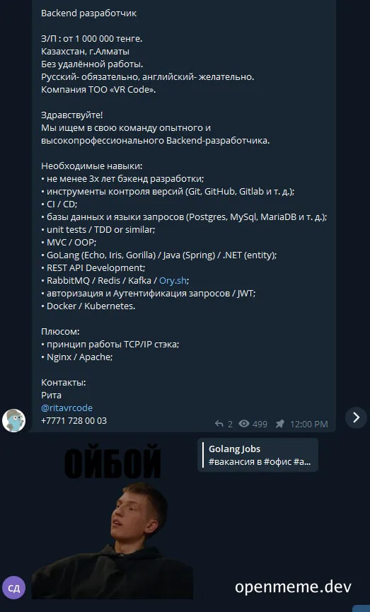 surprised programmer looking at golang job posting